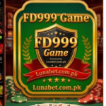 FD999 Game