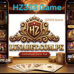 HZ333 Game