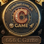 666 C Game